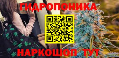 гидропоника Партизанск
